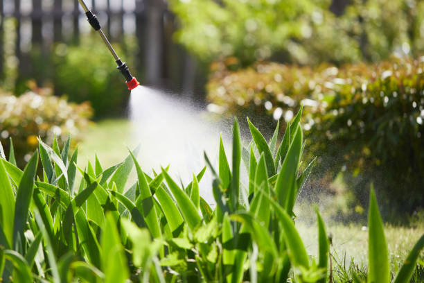 24/7 Emergency Cockroach Control experts in Dearborn, MI