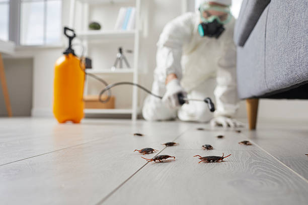 Trusted Cockroach Control service in Dearborn, MI - Nex Pest Control