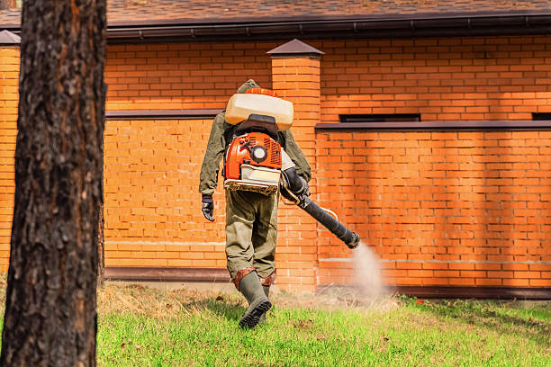 Trusted Bed Bug Control service in Dearborn, MI - Nex Pest Control